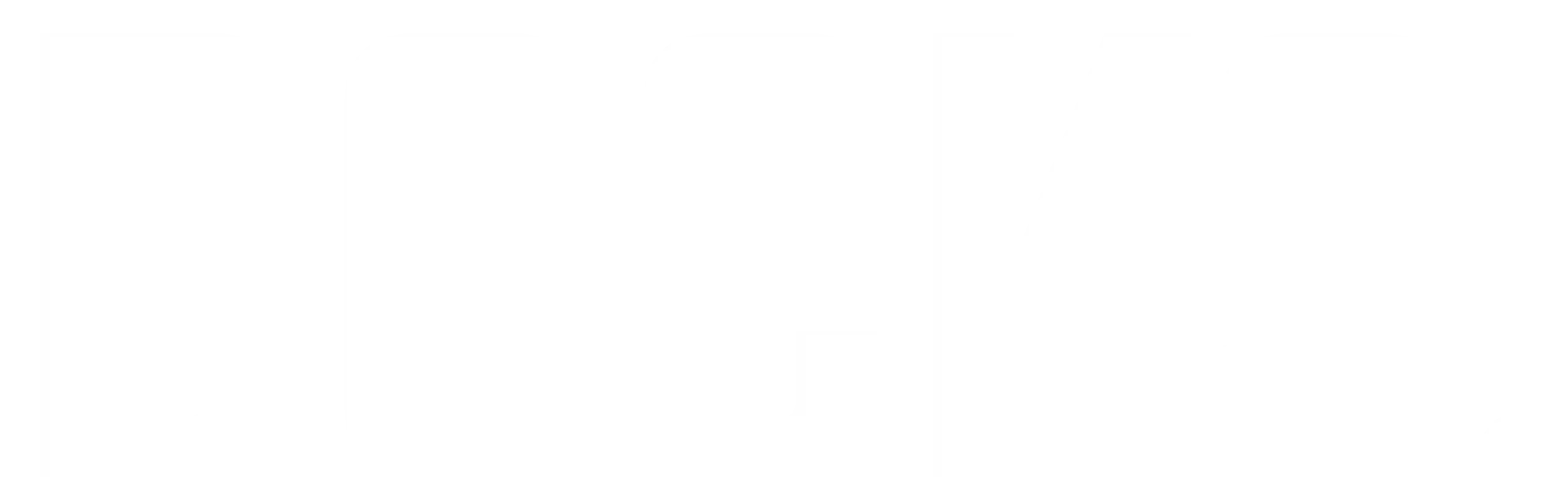 DOCKS Logo white